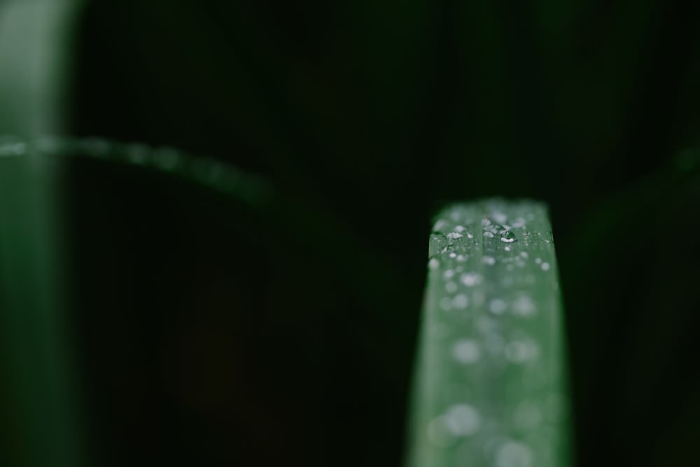 Fujinon XF 90mm F2.0